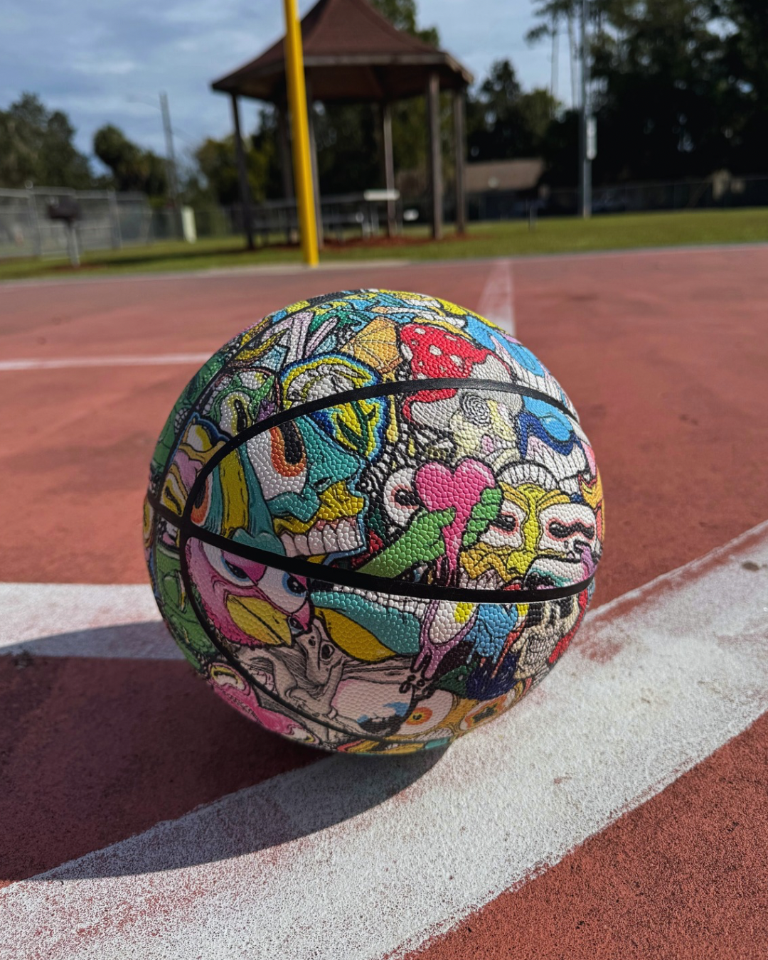 Aaron Brooks “Smashup” Collectible Basketball