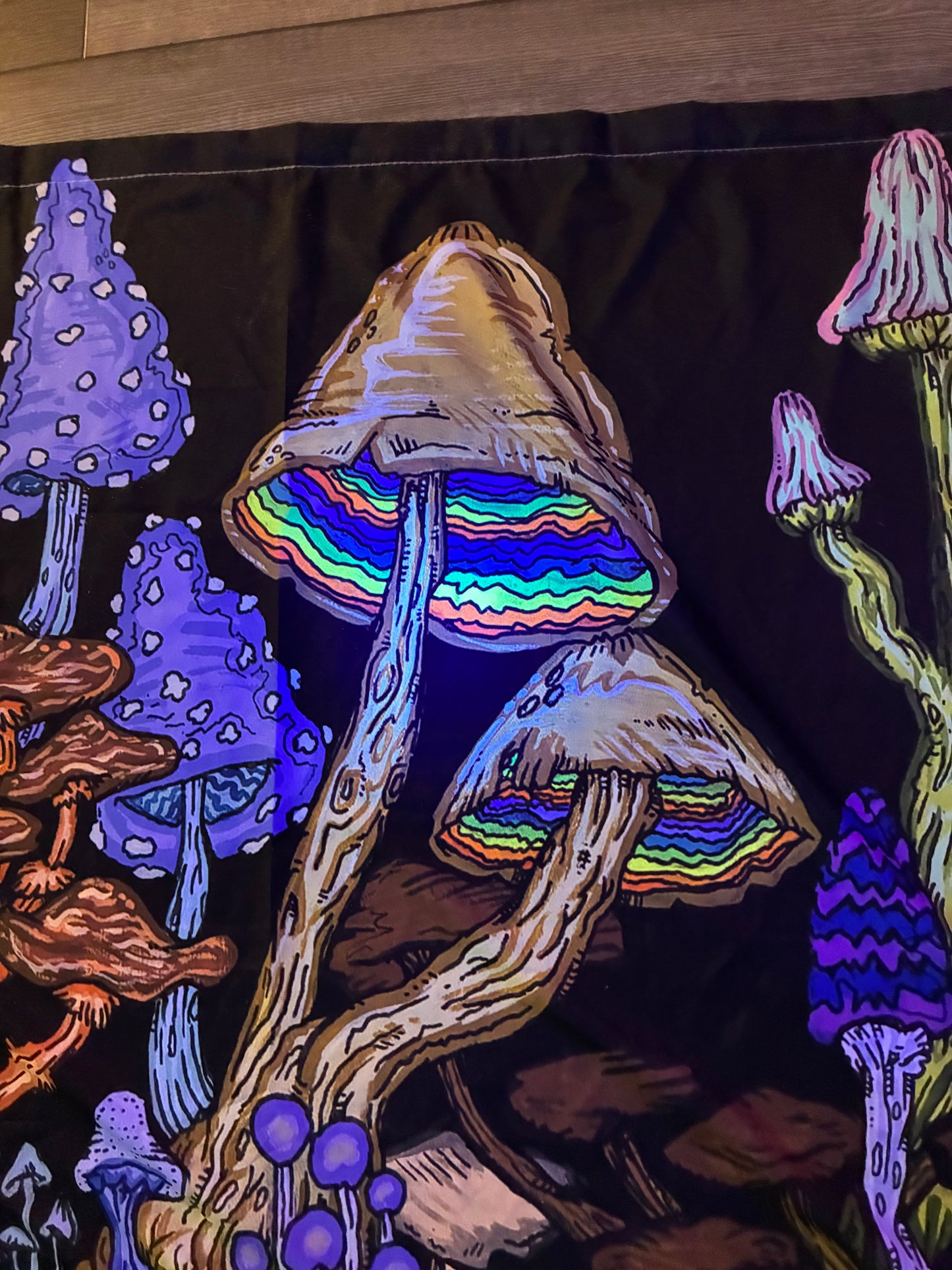 A Melty Bro Full Size Tapestry: “Fun Guy Pot” - Aaron Brooks & Vincent Gordon