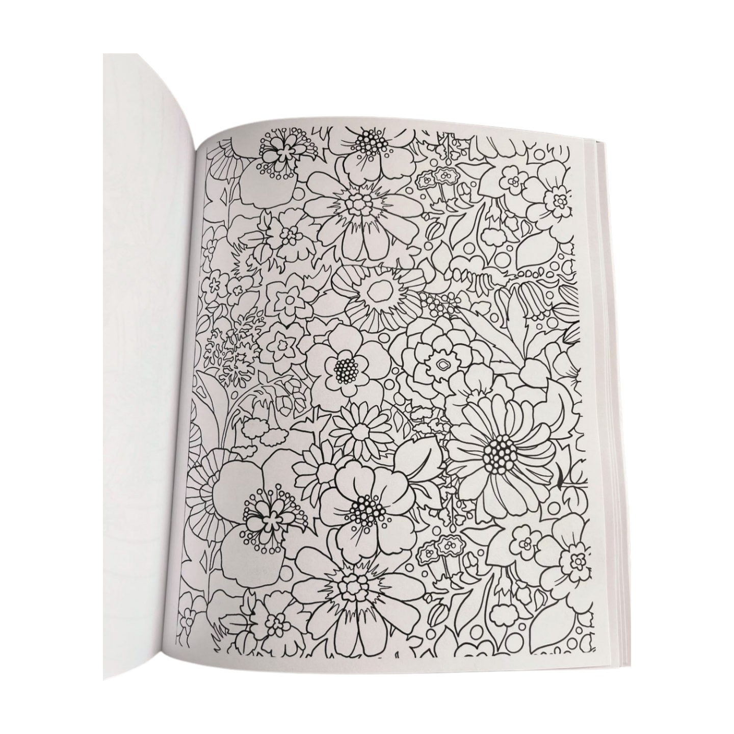 Ellie Paisley Coloring Book